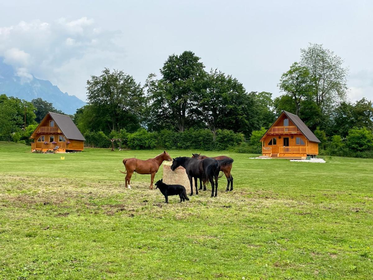 Апартаменти Agri Camp Dolomiti Беллуно Екстер'єр фото