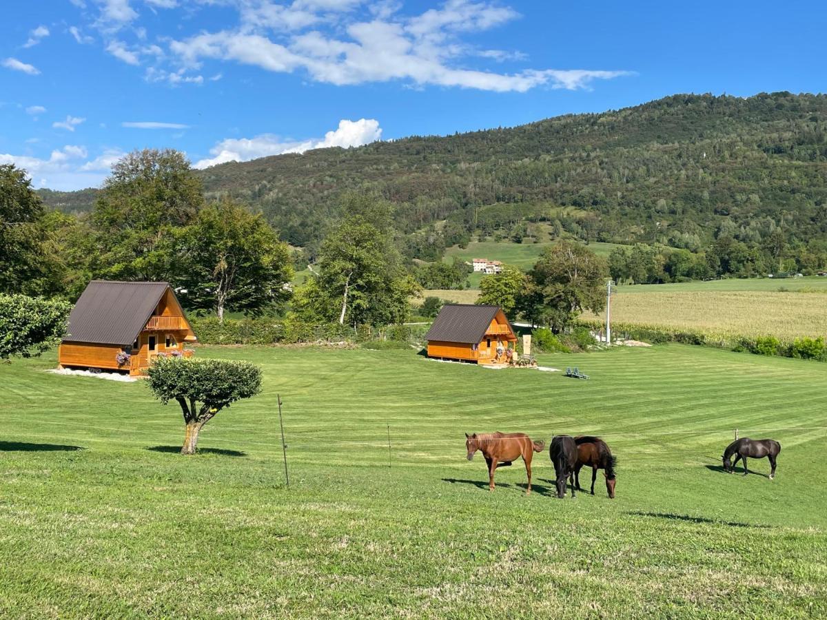 Апартаменти Agri Camp Dolomiti Беллуно Екстер'єр фото