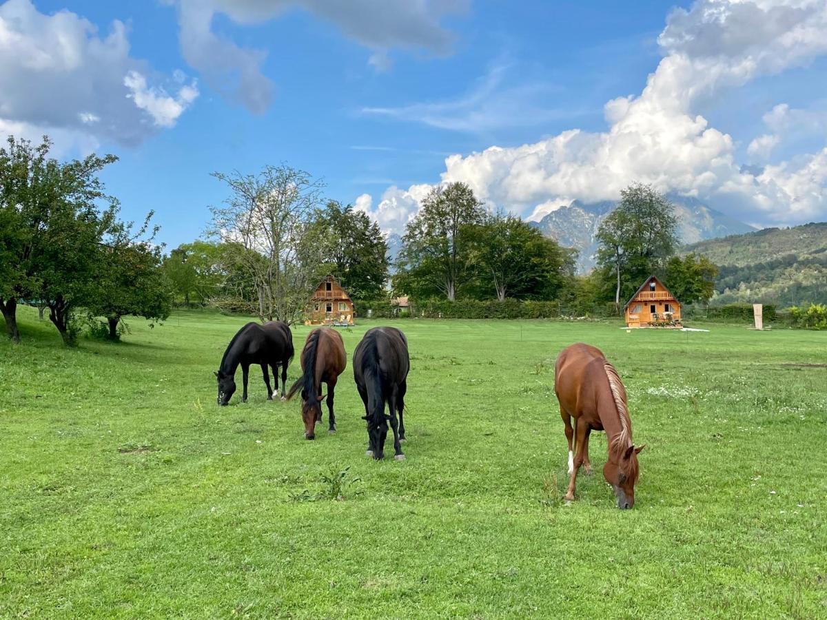 Апартаменти Agri Camp Dolomiti Беллуно Екстер'єр фото