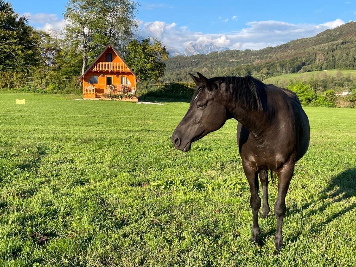 Апартаменти Agri Camp Dolomiti Беллуно Екстер'єр фото