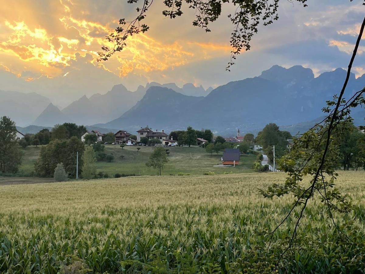 Апартаменти Agri Camp Dolomiti Беллуно Екстер'єр фото