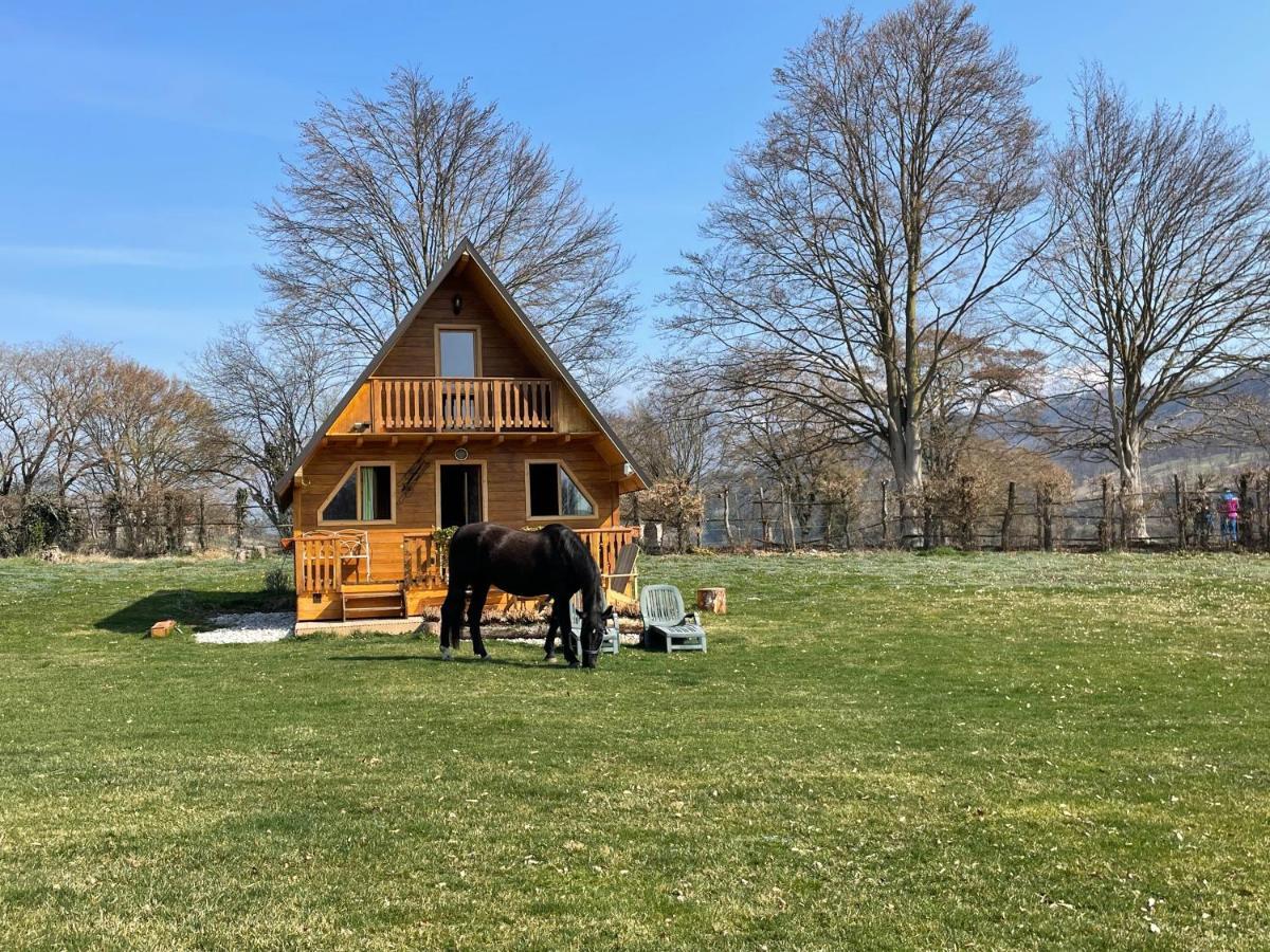 Апартаменти Agri Camp Dolomiti Беллуно Екстер'єр фото