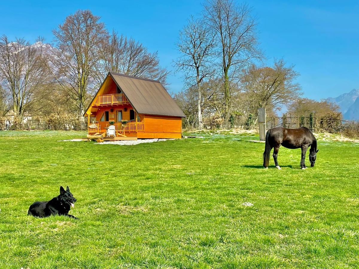 Апартаменти Agri Camp Dolomiti Беллуно Екстер'єр фото