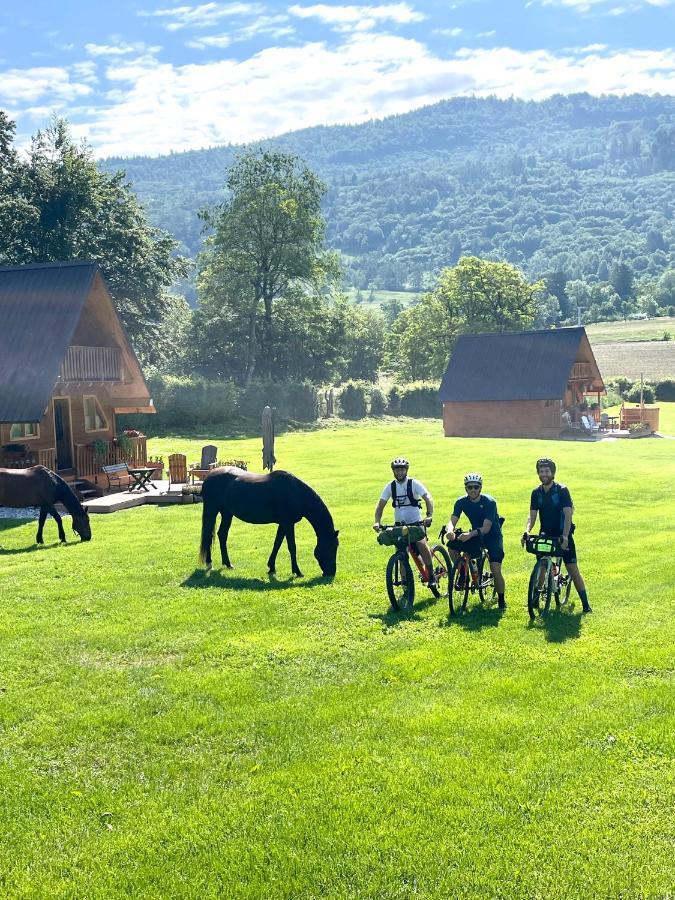 Апартаменти Agri Camp Dolomiti Беллуно Екстер'єр фото